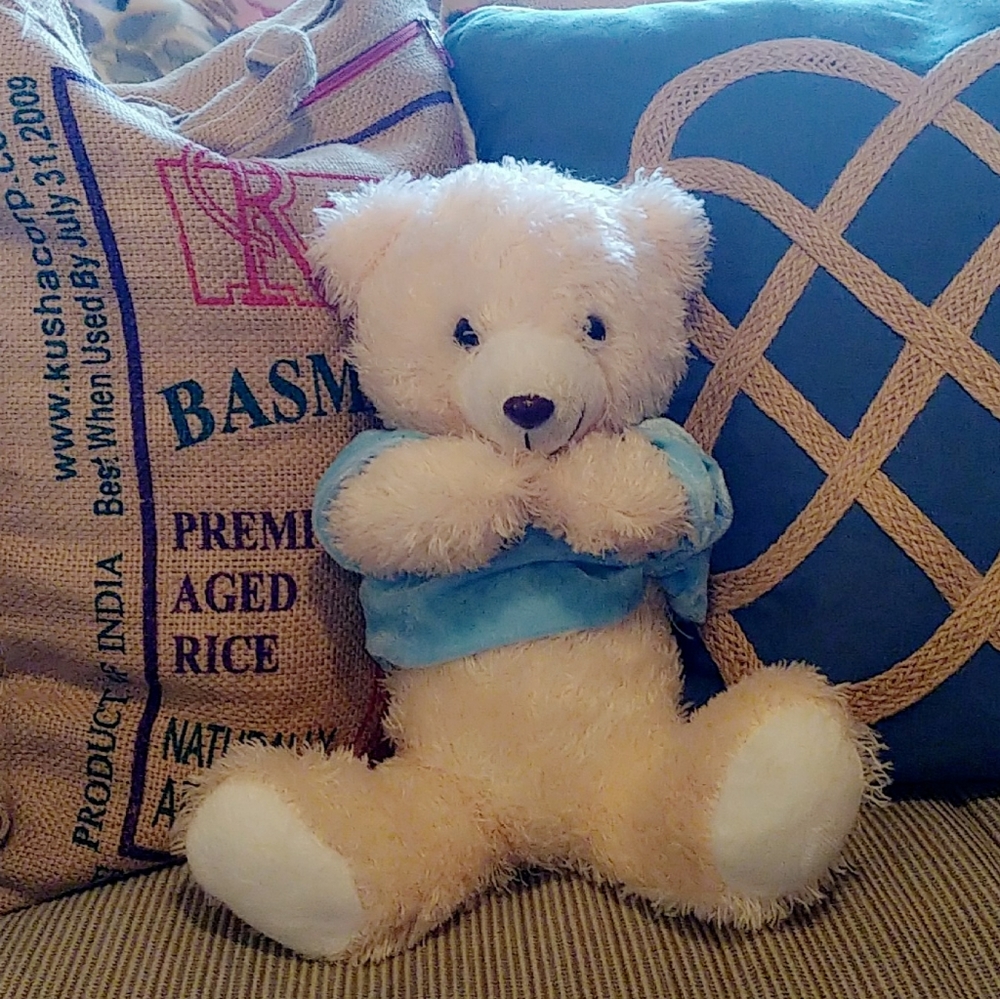 Teddy Bear